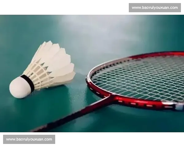羽毛球运动技巧与训练方法全面解析提升竞技水平